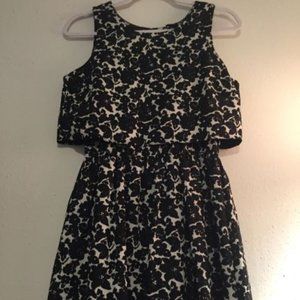 Black and Ivory Floral Dress
